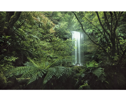 Wasserfall umgeben von dichter Vegetation