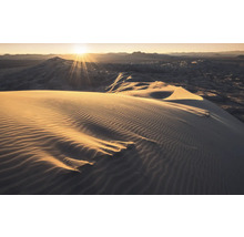Dunes de sable avec des motifs ondulés sous un soleil éclatant
