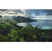 Paysage avec montagnes, côte et végétation tropicale
