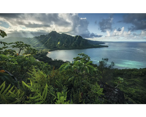 Papier peint panoramique intissé SHX9-117 Jurassic Island 9 pces 450 x 280 cm Paysage avec montagnes, côte et végétation tropicale