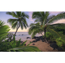Paysage de plage avec des palmiers et la mer