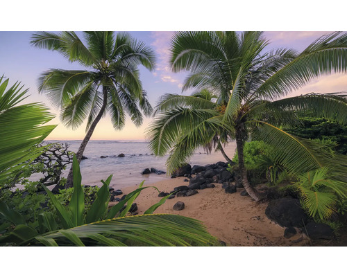 Papier peint panoramique intissé SHX9-116 Hawaiian Dreams 9 pces 450 x 280 cm Paysage de plage avec des palmiers et la mer