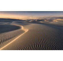 Paysage de dunes avec des vagues de sable