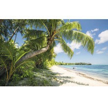 Plage tropicale avec palmiers et mer bleue