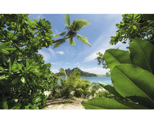 Papier peint panoramique intissé SHX9-106 Cast Away Jungle 9 pces 450 x 280 cm Paysage d'île tropicale avec palmiers et végétation sur la plage.