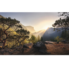Paysage avec montagnes, arbres et lever de soleil