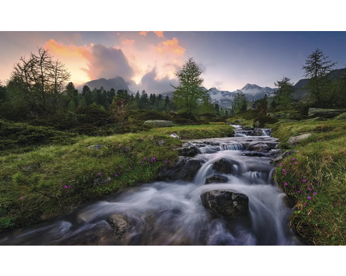 Papier peint panoramique intissé SHX9-096 Wild Paradise 9 pces 450 x 280 cm Cours d'eau dans un paysage de montagne boisé