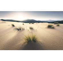 Paysage de dunes de sable avec de l'herbe et des montagnes en arrière-plan