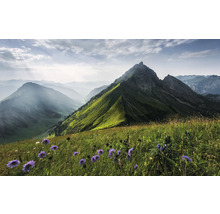 Paysage de montagne avec prairie fleurie au premier plan