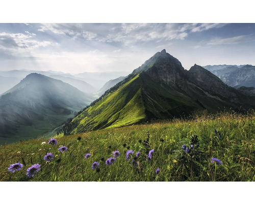 Papier peint panoramique intissé SHX9-088 The Green Queen 9 pces 450 x 280 cm Paysage de montagne avec prairie fleurie au premier plan