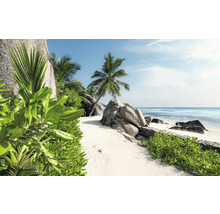 Plage tropicale avec palmiers et rochers
