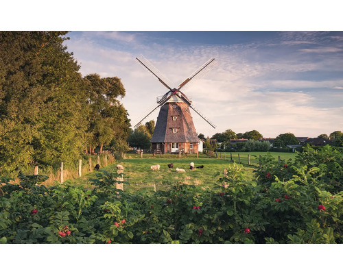 Papier peint panoramique intissé SHX9-083 Une journée comme celle-ci 9 pces 450 x 280 cm Moulin à vent dans un environnement rural avec des moutons dans le pré