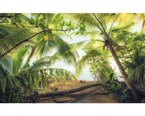 Papier peint panoramique intissé SHX9-070 Repaire de pirates 9 pces 450 x 280 cm Vue à travers les feuilles de palmier sur une plage de sable