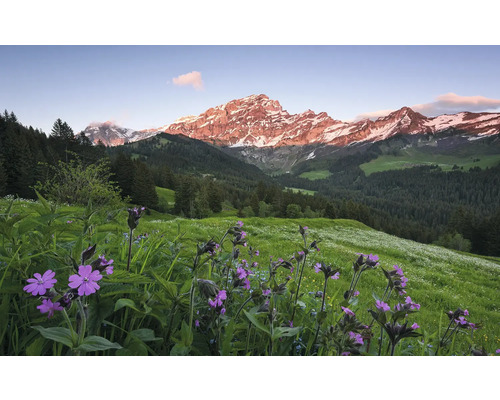 Papier peint panoramique intissé SHX9-069 Picturesque Star Warsitz 9 pces 450 x 280 cm Paysage avec fleurs des champs et montagnes enneigées