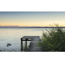 Jetée en bois au bord du lac avec des roseaux