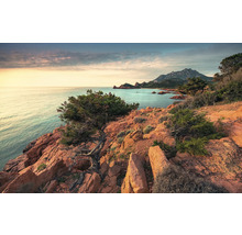 Paysage côtier avec rochers et vue sur la mer