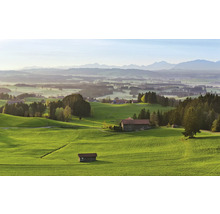 Paysage avec collines verdoyantes, fermes et montagnes en arrière-plan