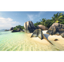 Paysage de plage avec rochers et palmiers