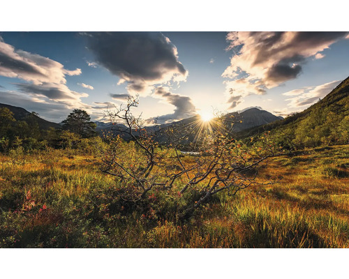 Papier peint panoramique intissé SHX9-060 Mondes norvégiens 9 pces 450 x 280 cm Paysage avec prairie, montagnes et lever de soleil