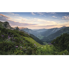 Paysage de montagne avec des pentes verdoyantes et des plantes à fleurs
