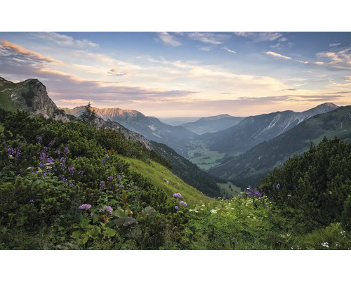 Papier peint panoramique intissé SHX9-059 Alpes en Allgäu 9 pces 450 x 280 cm Paysage de montagne avec des pentes verdoyantes et des plantes à fleurs