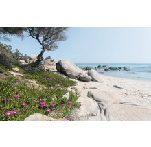 Scène avec plage de sable, rochers et végétation côtière