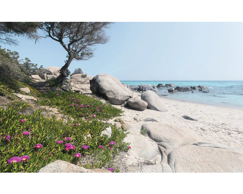 Papier peint panoramique intissé SHX9-056 Rêves de Méditerranée 9 pces 450 x 280 cm Scène avec plage de sable, rochers et végétation côtière