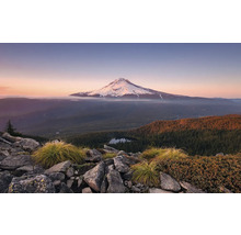 Paysage de montagne avec sommet enneigé, forêt et rochers au premier plan