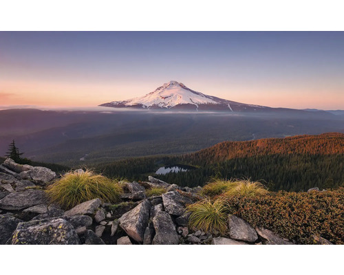 Papier peint panoramique intissé SHX9-050 Kingdom of a Mountain 9 pces 450 x 280 cm Paysage de montagne avec sommet enneigé, forêt et rochers au premier plan