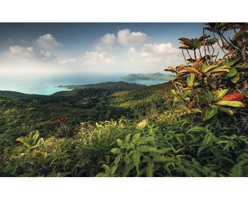Papier peint panoramique intissé SHX9-043 Heavens Balcony 9 pces 450 x 280 cm Prise de vue panoramique d'un paysage de collines tropicales avec vue sur la mer