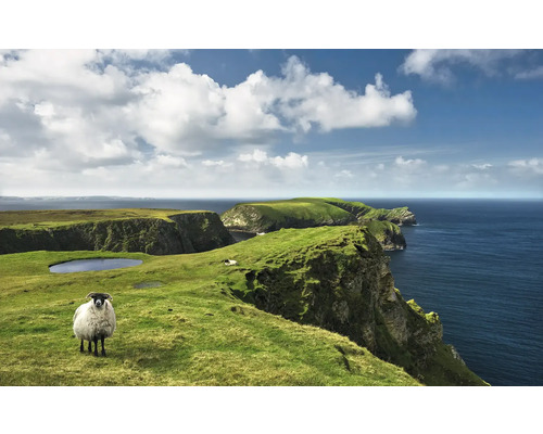 Papier peint panoramique intissé SHX9-040 Green Ireland 9 pces 450 x 280 cm Paysage avec mouton sur falaise verte au bord de la mer