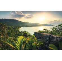 Paysage tropical avec vue sur la mer, végétation luxuriante et rochers