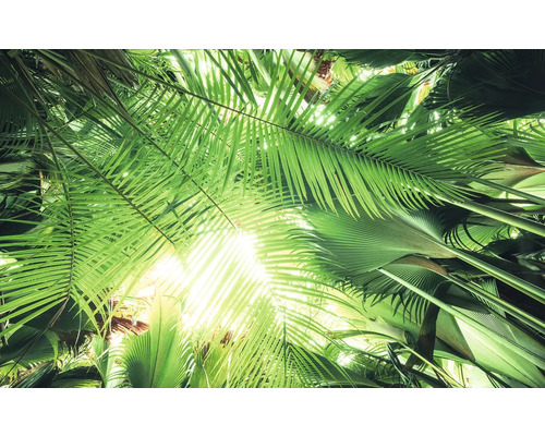 Papier peint panoramique intissé SHX9-025 Toit de jungle 9 pces 450 x 280 cm Vue de feuilles de palmier dans un jardin