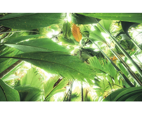 Papier peint panoramique intissé SHX9-024 Toit de jungle II 9 pces 450 x 280 cm Végétation dense avec de grandes feuilles