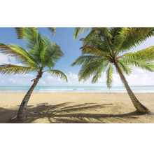 Plage tropicale avec palmiers et ciel bleu