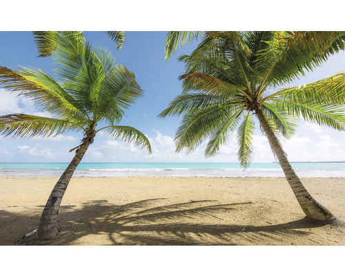 Papier peint panoramique intissé SHX9-014 Caribbean Days II 9 pces 450 x 280 cm Plage tropicale avec palmiers et ciel bleu