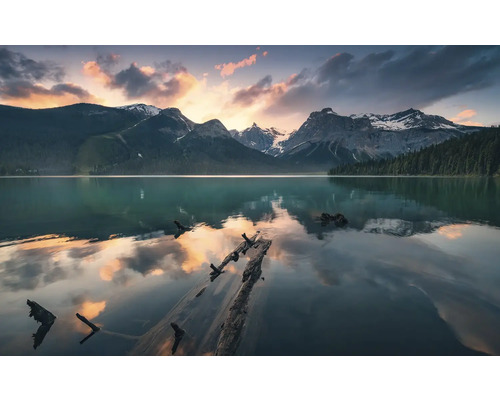 Papier peint panoramique intissé SHX9-012 Burning Emerald 9 pces 450 x 280 cm Lac de montagne avec des troncs d'arbres et un paysage montagneux
