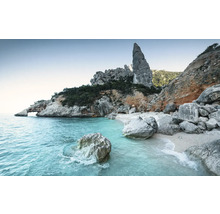 Paysage côtier avec rochers, plage et mer
