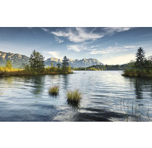 Paysage lacustre avec des arbres et des montagnes en arrière-plan