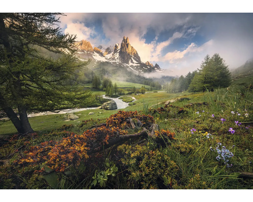 Papier peint panoramique intissé SHX8-133 The Last Paradise 8 pces 400 x 280 cm Paysage de montagne avec rivière, prairies et arbres