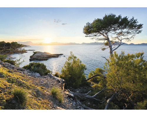 Papier peint panoramique intissé SHX8-013 Lumière du Sud 8 pces 400 x 280 cm Paysage avec littoral, mer et arbres
