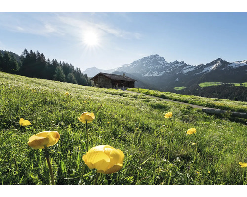 Papier peint panoramique intissé SHX8-003 Bonheur des Alpes 8 pces 400 x 280 cm Paysage avec prairie fleurie, cabane de montagne et panorama montagneux
