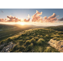 Paysage avec collines, herbe et lever de soleil