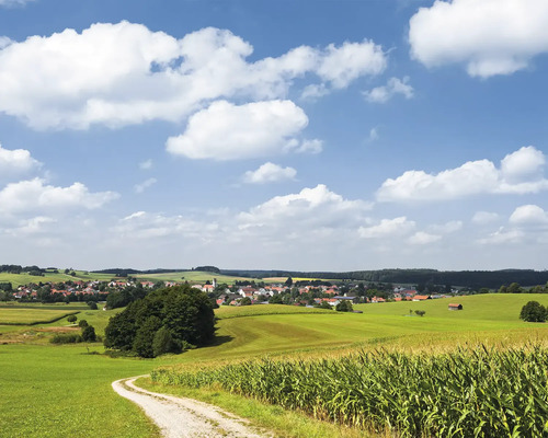Papier peint panoramique intissé SHX7-006 Idylle de Bavière 7 pces 350 x 280 cm Paysage avec chemin de terre, champ de maïs et village sous un ciel bleu avec des nuages