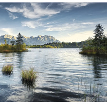 Paysage lacustre avec montagnes et arbres en arrière-plan