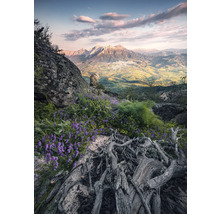 Paysage de montagne avec rochers, plantes fleuries et vue sur une vallée
