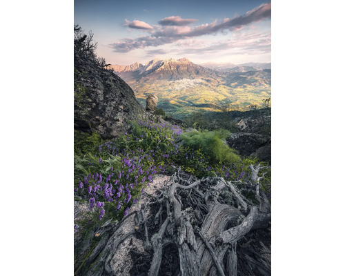 Papier peint panoramique intissé SHX4-130 Flowering Tales 4 pces 200 x 280 cm Paysage de montagne avec rochers, plantes fleuries et vue sur une vallée