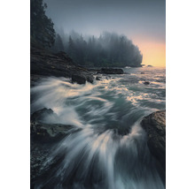 Paysage côtier avec rochers et arbres dans le brouillard