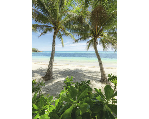 Strandansicht mit Palmen und Vegetation