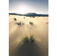 Dunes de sable avec de l'herbe et des montagnes en arrière-plan